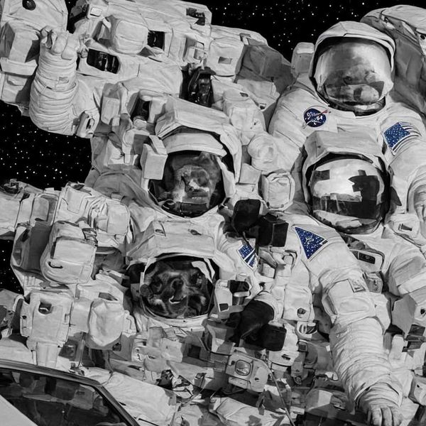 Pan fried salmon with chopped vegetable and garlic sauce